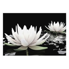  Wall Mural Easy Install Bedroom Decor Elegant Water Lilies On A Dark Background