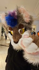 Furry Cat Fursuit Head And Paws