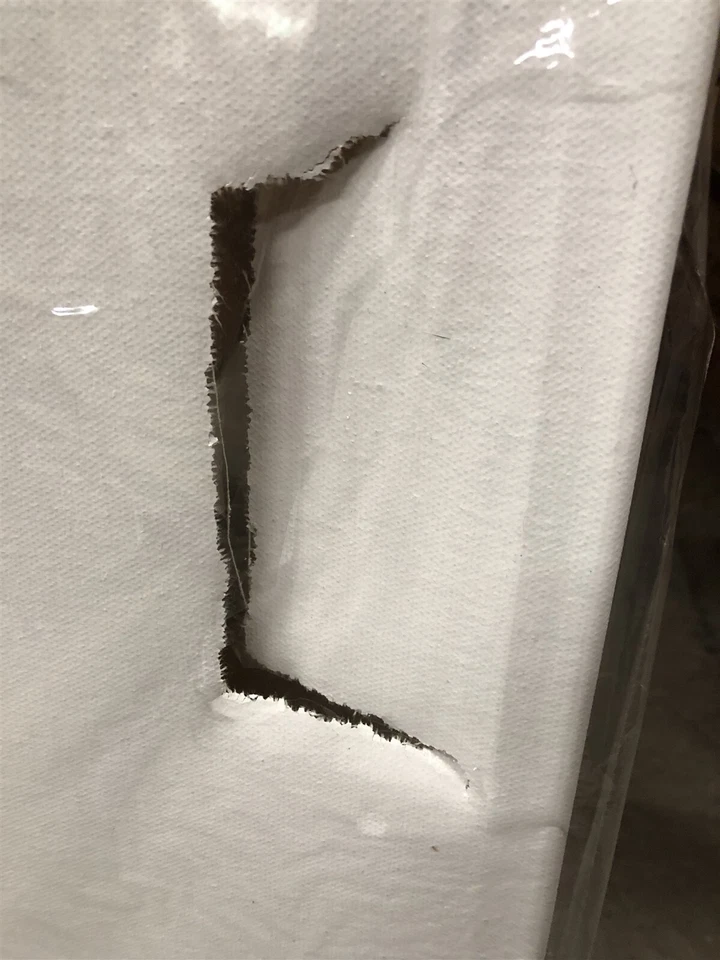 Pintura de vida silvestre rana hipster ARTAC0288 decoración del hogar Yosemite - multicolor Foto 3 de 3