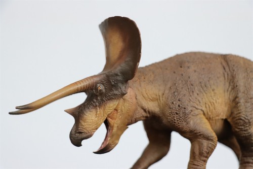 PNSO 1/35 New Version Triceratops Model Adult Children Toys Gift Dinosaur Figure - Picture 13 of 15