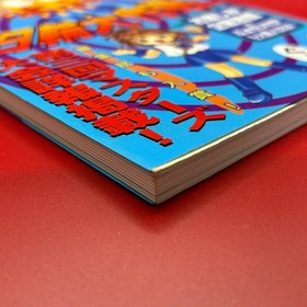 Puyo Puyo SUN Operation Sun Game Guide First Ed SEGA Saturn Book 1997 Japan