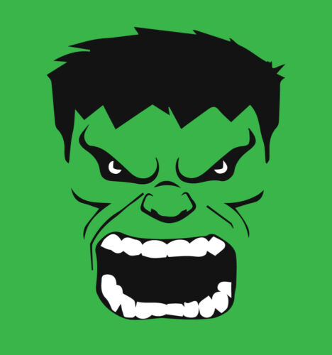 Incredible Hulk face shirt comics movie t-shirt Avengers adult youth men's boys - Afbeelding 1 van 4