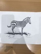 Sir Peter Scott ‘Hartmann’s Mountain Zebra’ Hand Signed Print