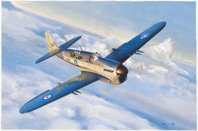 Trumpeter 755810 1/48 Fairey Firefly Mk.1