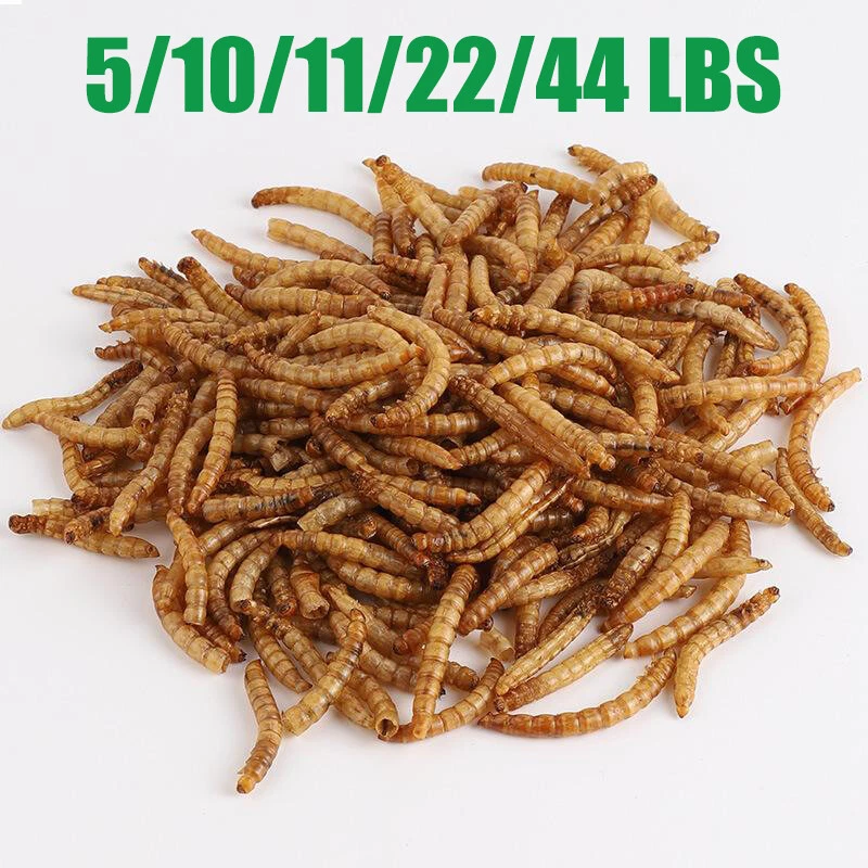 LUCKYQ LOT Dried Mealworms Non-GMO Fit Wild Birds Chickens Hen Fish Reptile 0.6-44 LBS