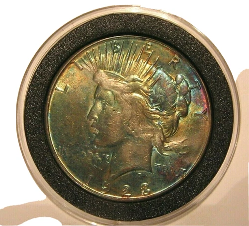 1923-S PEACE DOLLAR (  TONED ) id no K-553