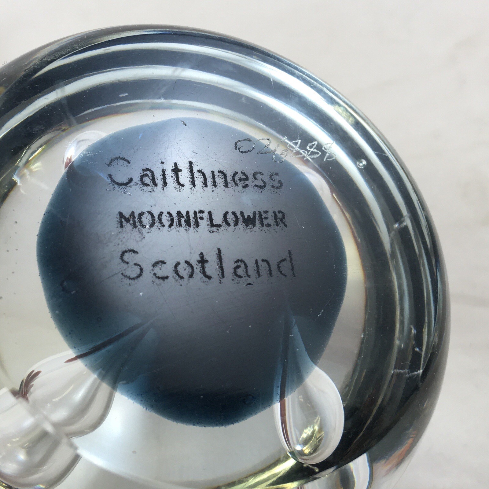 Caithness Scotland Moonflower Paperweight Numbered Blue Clear