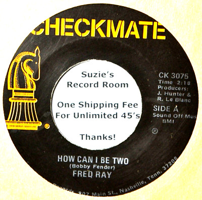 Fred Ray How Can I Be Two / Help Me Find the Words Private Country 45 7'' Vinyl x
