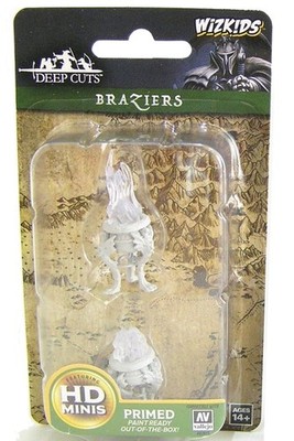 Wizkids Wizkids A Braziers Role Playing Game