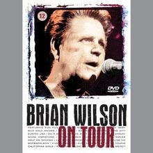 Brian Wilson - On Tour von John Anderson | DVD | Zustand gut