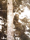 Foto 9 di 12