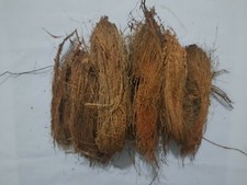Coconut Husk Fiber Natural Chips Organic Growing Fiber Anthurium Orchids 200g SL