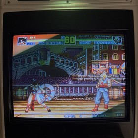Neo Geo MVS  FATAL FURY SPECIAL SNK game ORIGINAL Cartridge NeoGeo