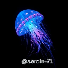 Digital Image Picture Photo Wallpaper Background Desktop AI Art Sample Product