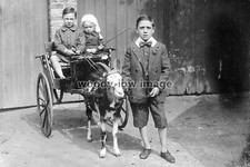 rp15088 - Children in a Goat Cart - print 6x4