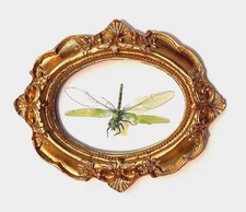 Green Dragonfly Framed Tiny Miniature Mini ART PRINT Gold Ornate Frame NOT ACEO