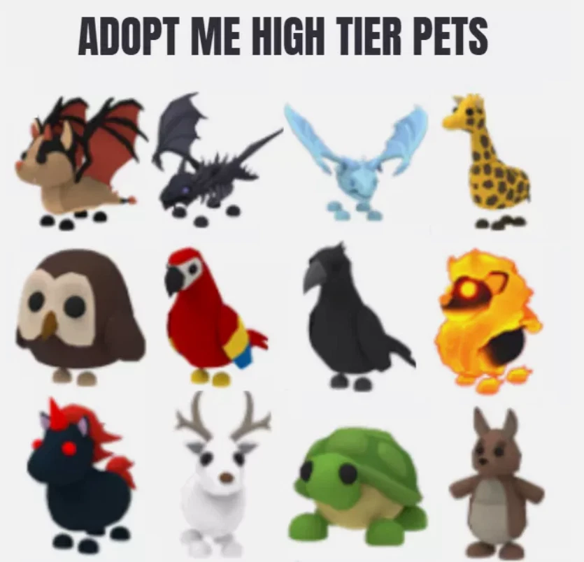 Roblox Adopt me alle High Teers | Schnell & Sicher | Neon ✅ |