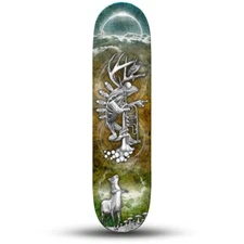 Frog and Skorsey Pencil Drawn Skateboard Art Deck - Limited edition