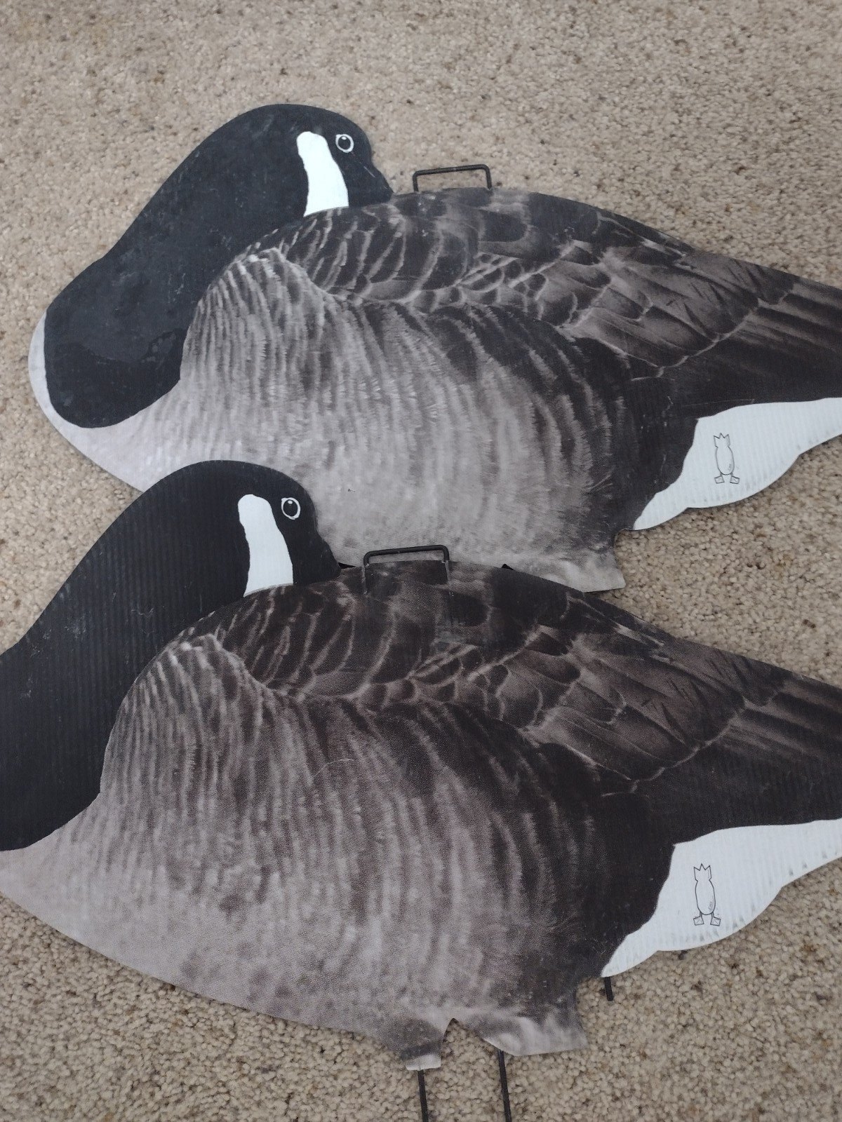 divebomb canada goose silhouettes thumbnail 7