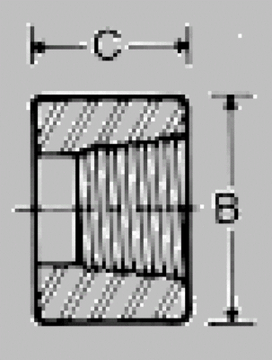 Cappuccio Tubo 1/8" 3000 Filettato (NPT) A105 Acciaio Forgiato - Foto 8