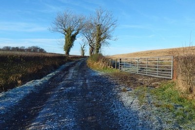 Photo 6x4 Farm track and field gate Ardoch/NS3676 The 1:25000 map shows  c2018