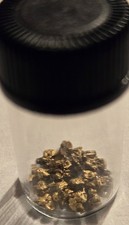 1 Gram Alaskan Small Gold Nugget Pickers In Vile 4510.00 per troy oz