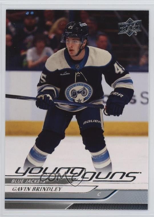 2024-25 Upper Deck Series 1 Young Guns Gavin Brindley #207 08o7