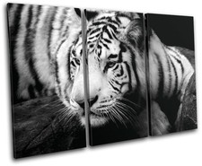 Tiger Animals TREBLE CANVAS WALL ART Picture Print VA