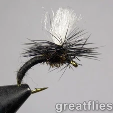 1 dozen (12) - Klinkhammer - Black