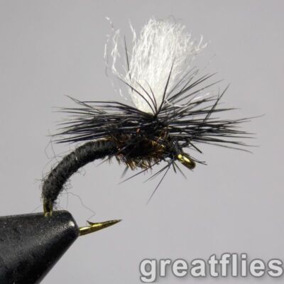 1 dozen (12) - Klinkhammer - Black