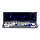 SKY Nickel Plated C foot Flute w Straight & Curved Headjoints Student Model