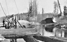 Logging On Lake Shaver California CA - Reprint