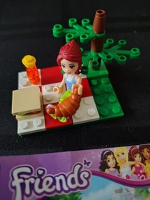 LEGO Friends 30108 Summer Picnic Full Set 