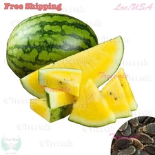 Watermelon Seeds - Yellow Crimson Watermelon Seeds | Vegetable Seeds