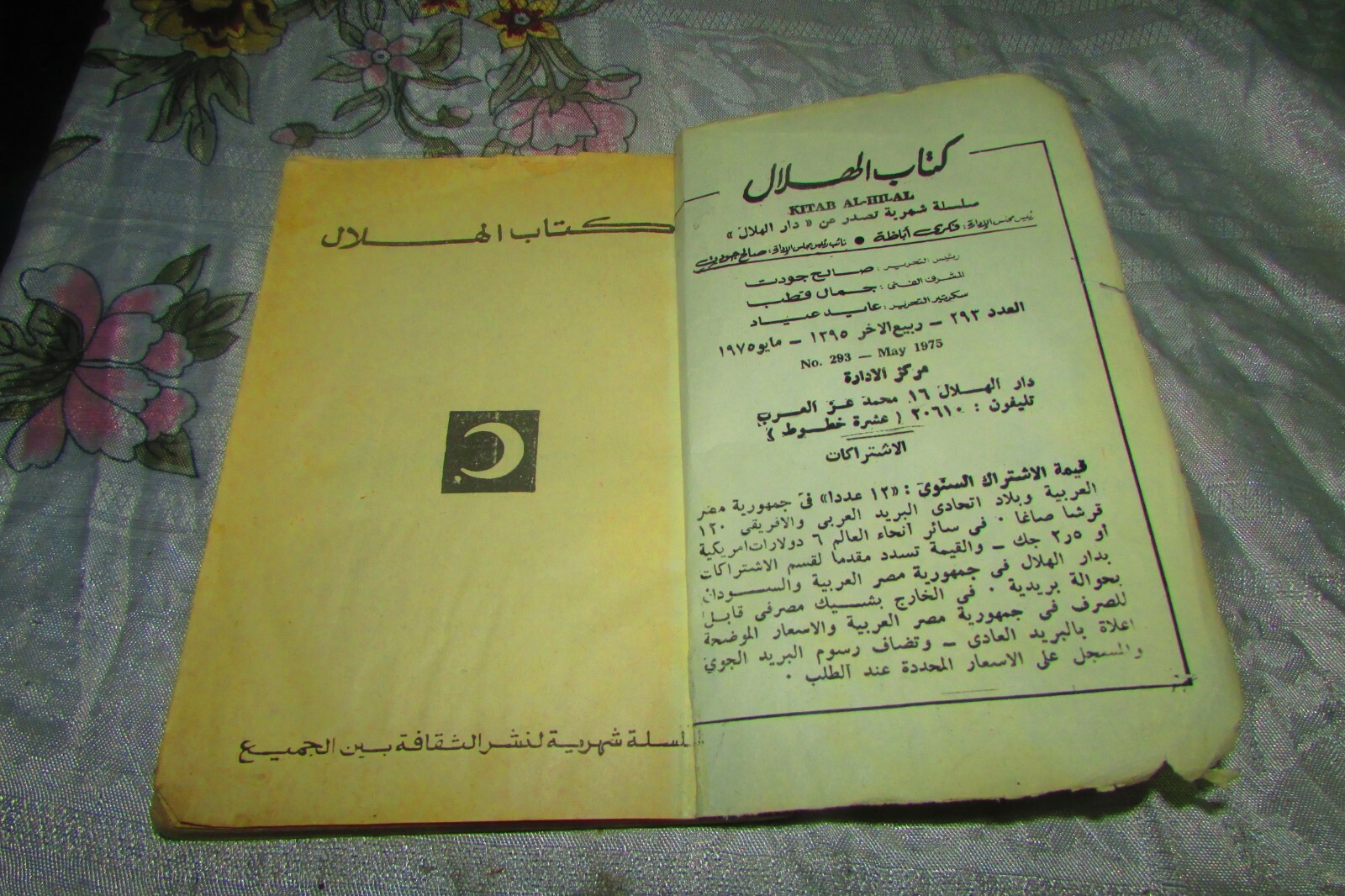 Picture 4