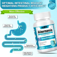 Akkermansia Muciniphila probiotics with 10 billion AFU+organic prebiotics