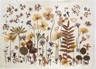 Pressblumen Collage