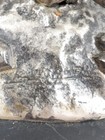 Picture 6 of 9