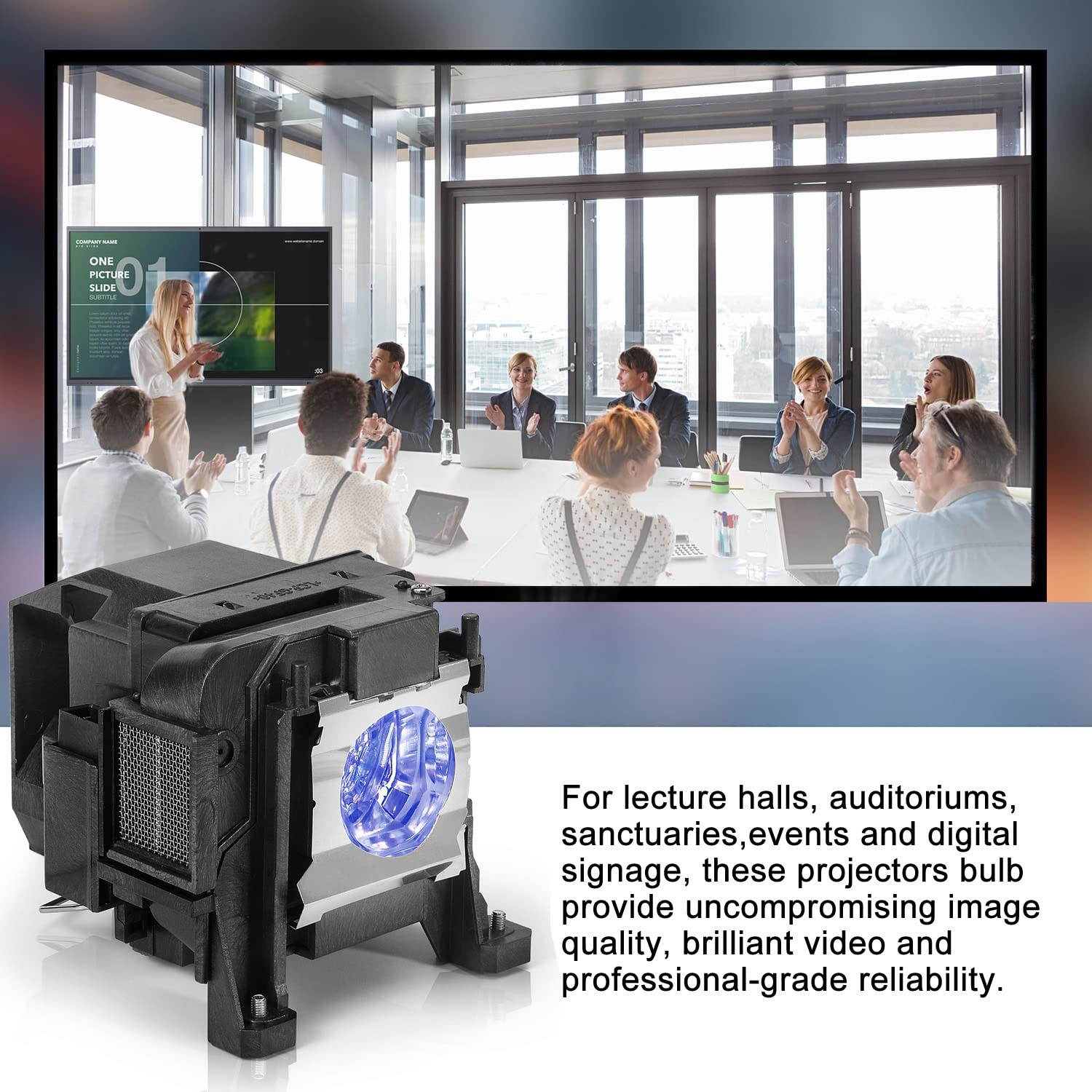 Replacement Projector Lamp Bulb for Epson ELPLP89 4010 PowerLite Home Cinema ...