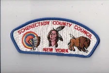 Schenectady County Council CSP (D)