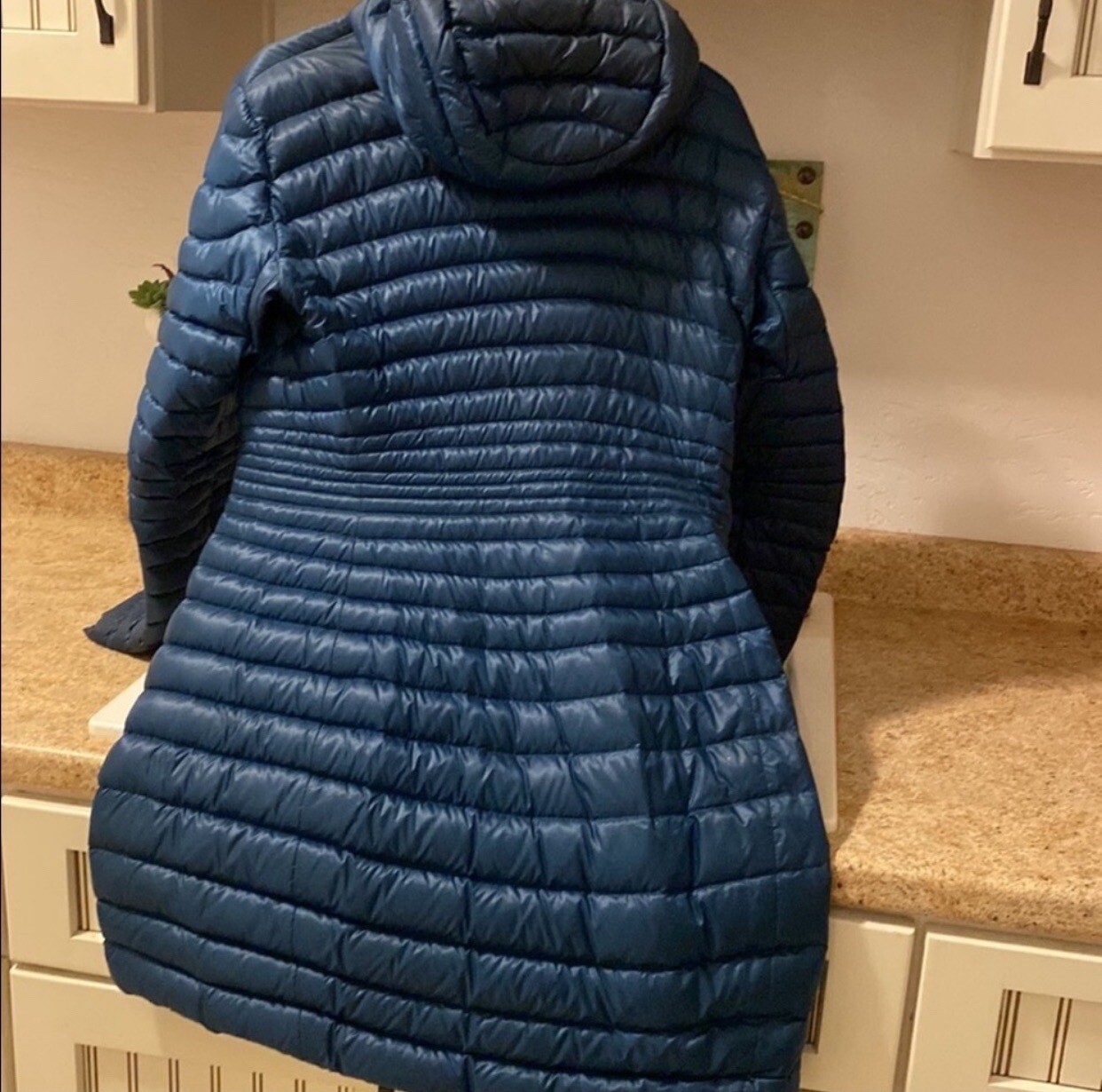 arcteryx jacket womens large eBay