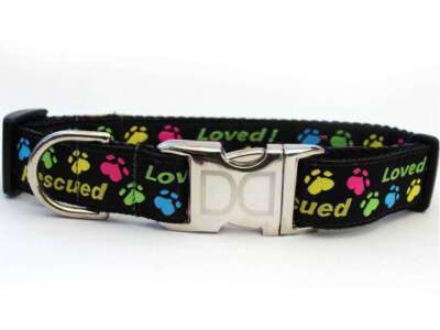 Rescue Me Custom Dog Collar by Diva Dog (Optional Matching Leash Available)