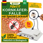 Bild 18 von 41