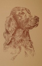 Irish Setter Dog Breed Art Print #15 Artist Kline will add dogs name free. GIFT