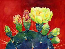 Desert Bloom Cactus Flowers Garden accent ceramic tile mural backsplash