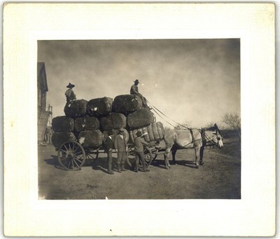 Mounted Board Photo H.B.N. Men Horse Drawn Wagon Cotton Bales Karnes City Texas