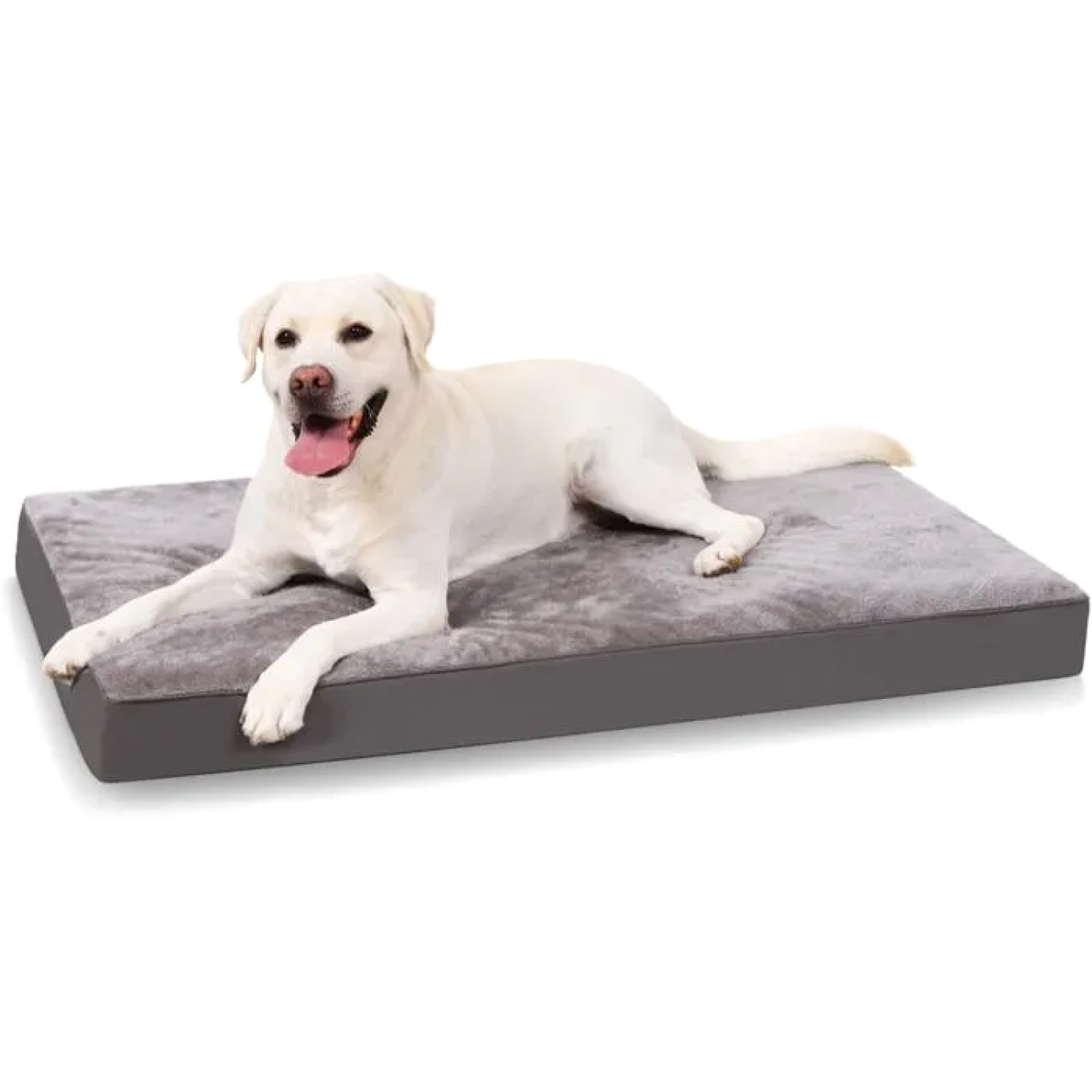 Lit chien XXL orthopédique lavable pour soulager les articulations des grands chiens gris