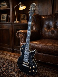 Epiphone Les Paul customハードケース付 Epiphone Hardcase Les Paul | eBay