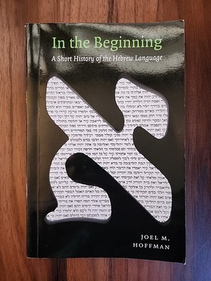 In the Beginning: A Short History of the Hebrew Language Joel Hoffman VERY GOOD