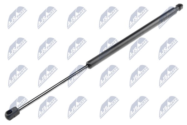 Nty AE-SK-009 Gasfeder, Kofferraum-/Laderaum FüR Skoda-image